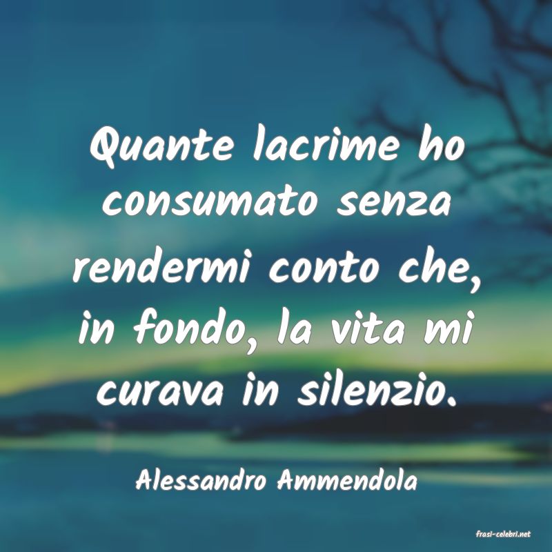 frasi di  Alessandro Ammendola
