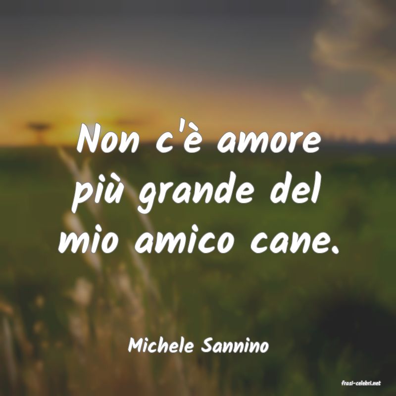 frasi di  Michele Sannino
