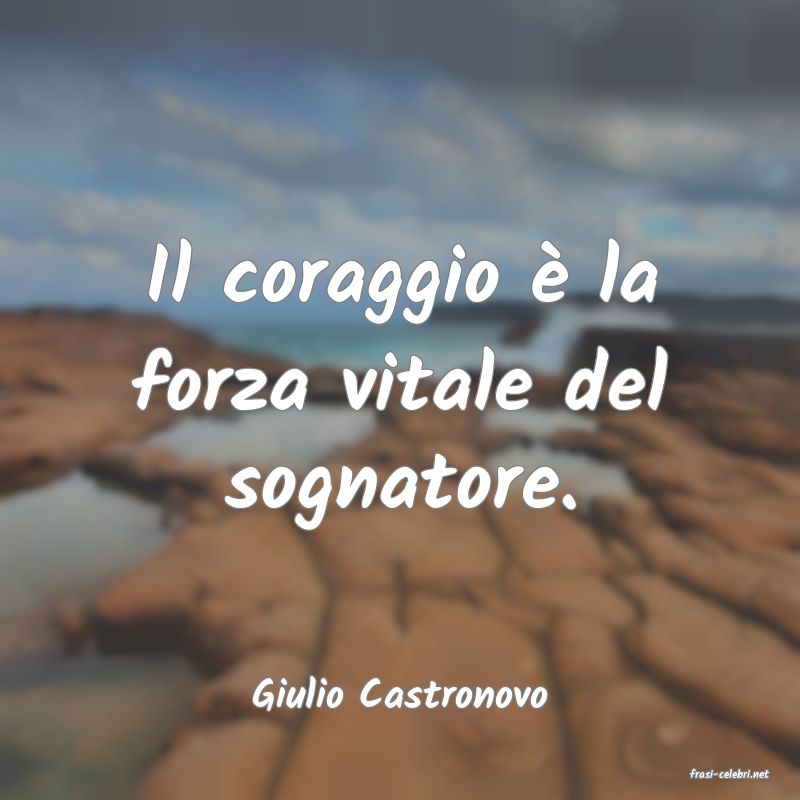 frasi di  Giulio Castronovo
