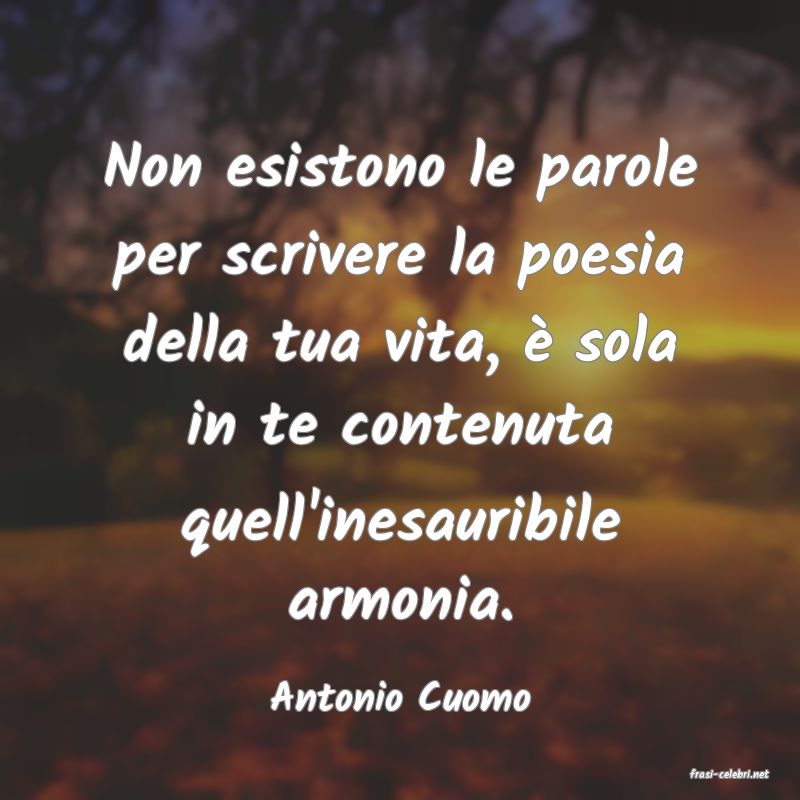 frasi di  Antonio Cuomo
