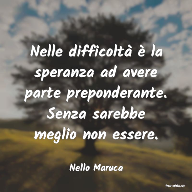 frasi di  Nello Maruca
