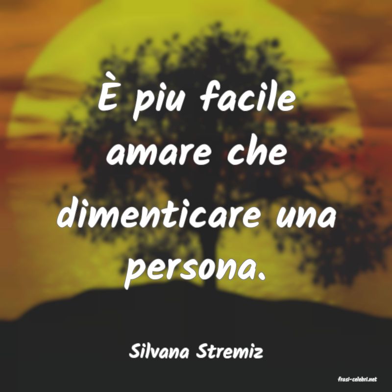 frasi di Silvana Stremiz