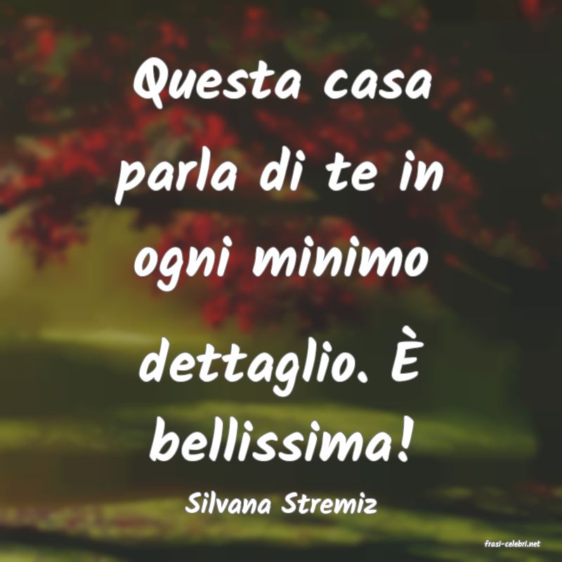 frasi di Silvana Stremiz