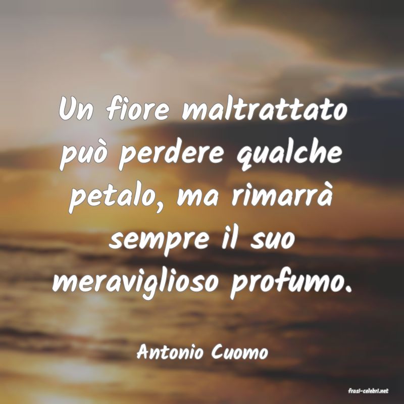 frasi di  Antonio Cuomo
