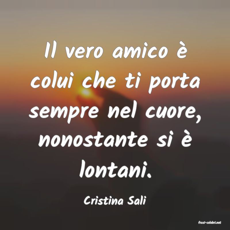 frasi di  Cristina Sali
