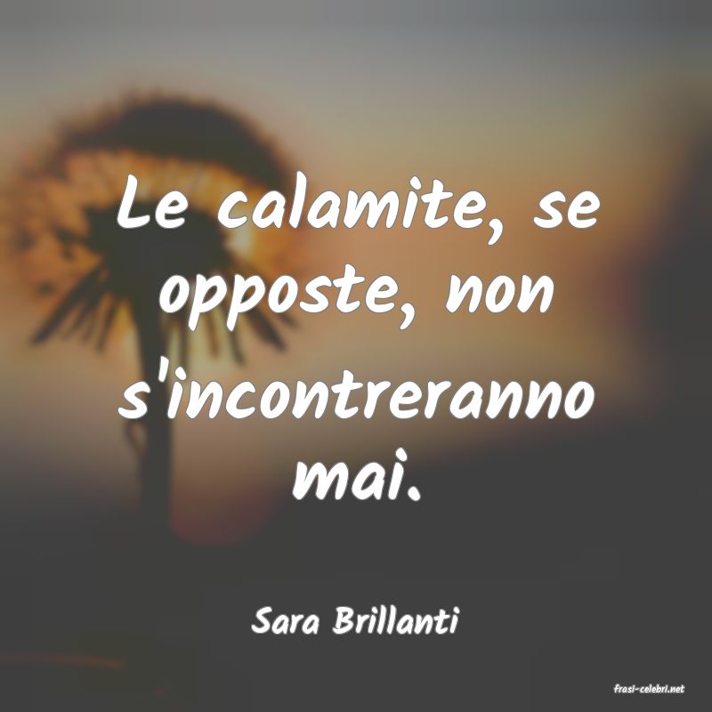 frasi di  Sara Brillanti
