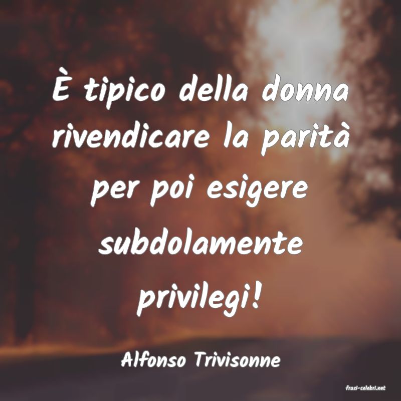 frasi di Alfonso Trivisonne
