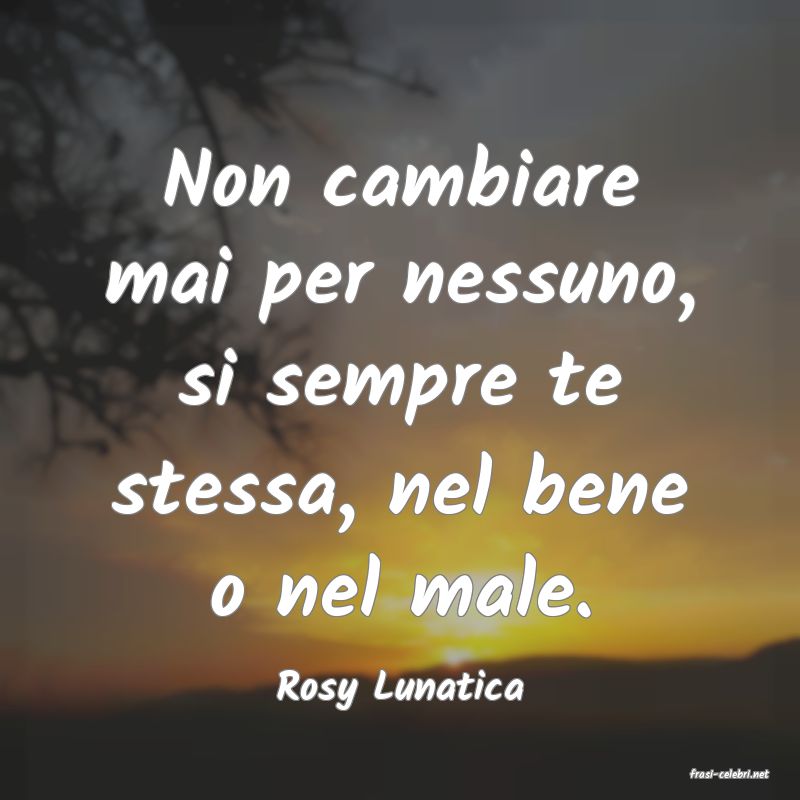 frasi di  Rosy Lunatica
