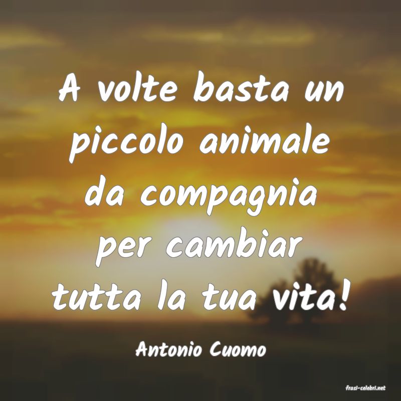 frasi di  Antonio Cuomo
