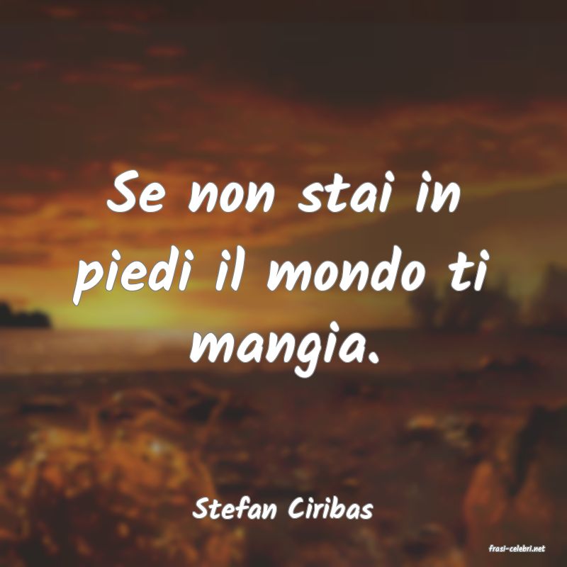 frasi di Stefan Ciribas