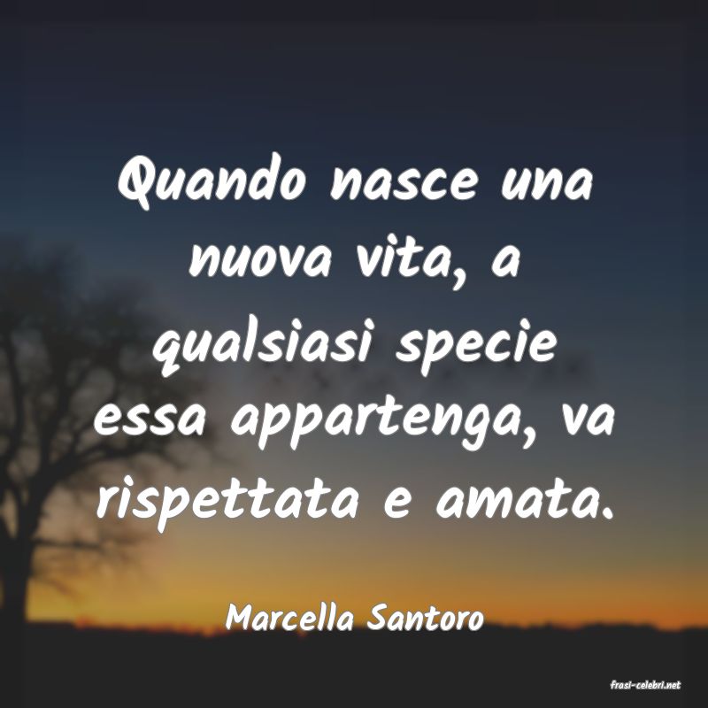 frasi di  Marcella Santoro
