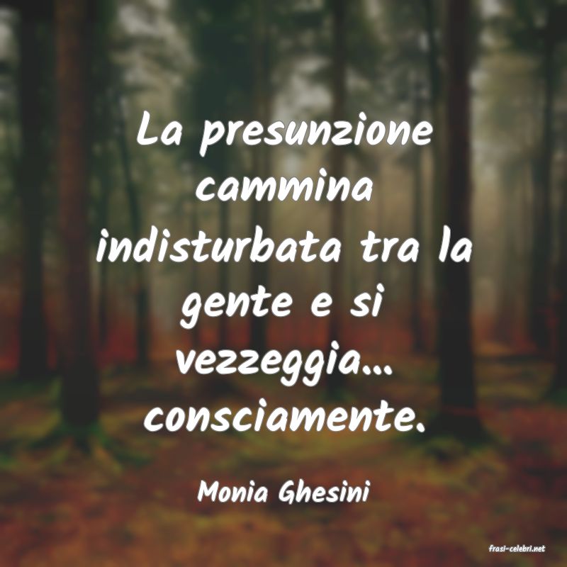 frasi di  Monia Ghesini
