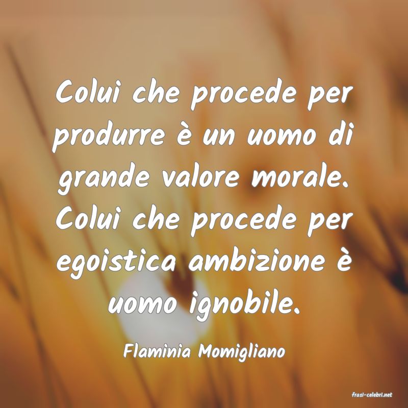 frasi di  Flaminia Momigliano

