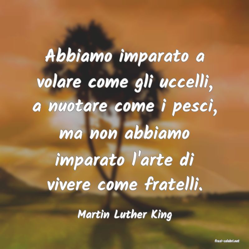 frasi di  Martin Luther King
