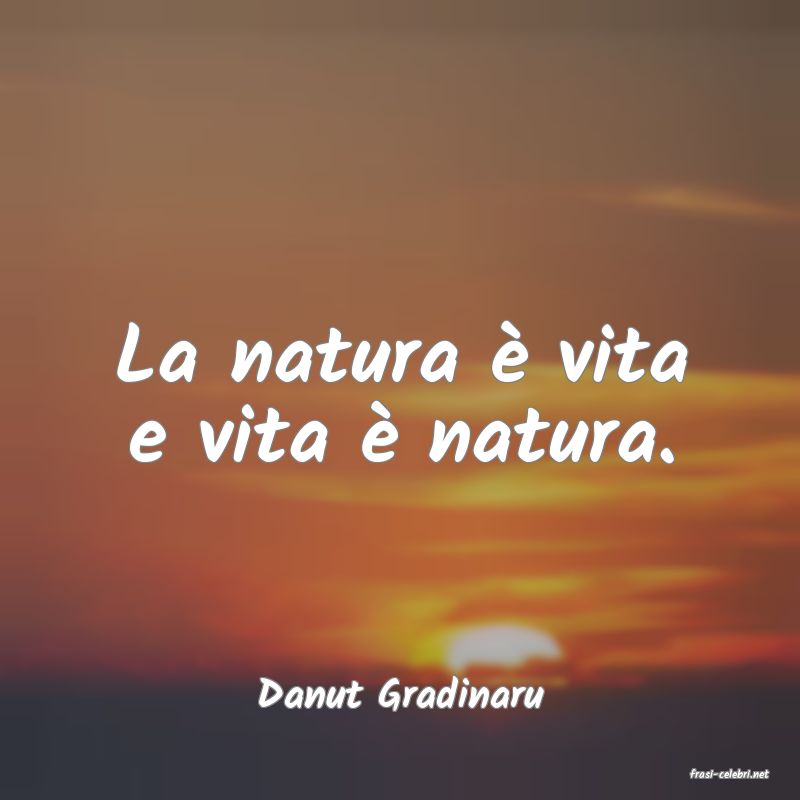 frasi di  Danut Gradinaru
