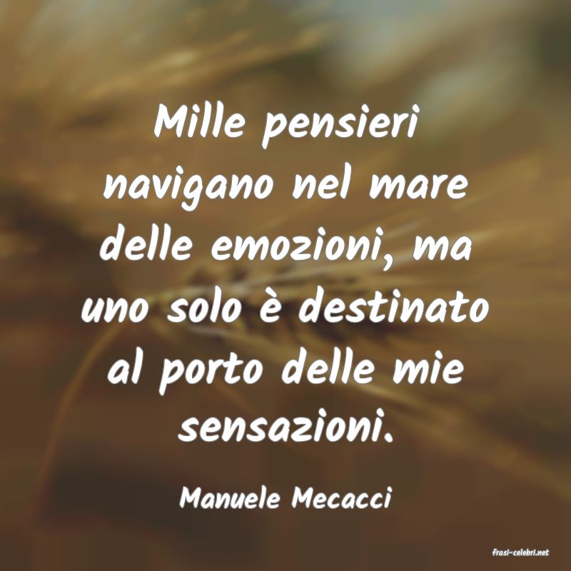 frasi di  Manuele Mecacci
