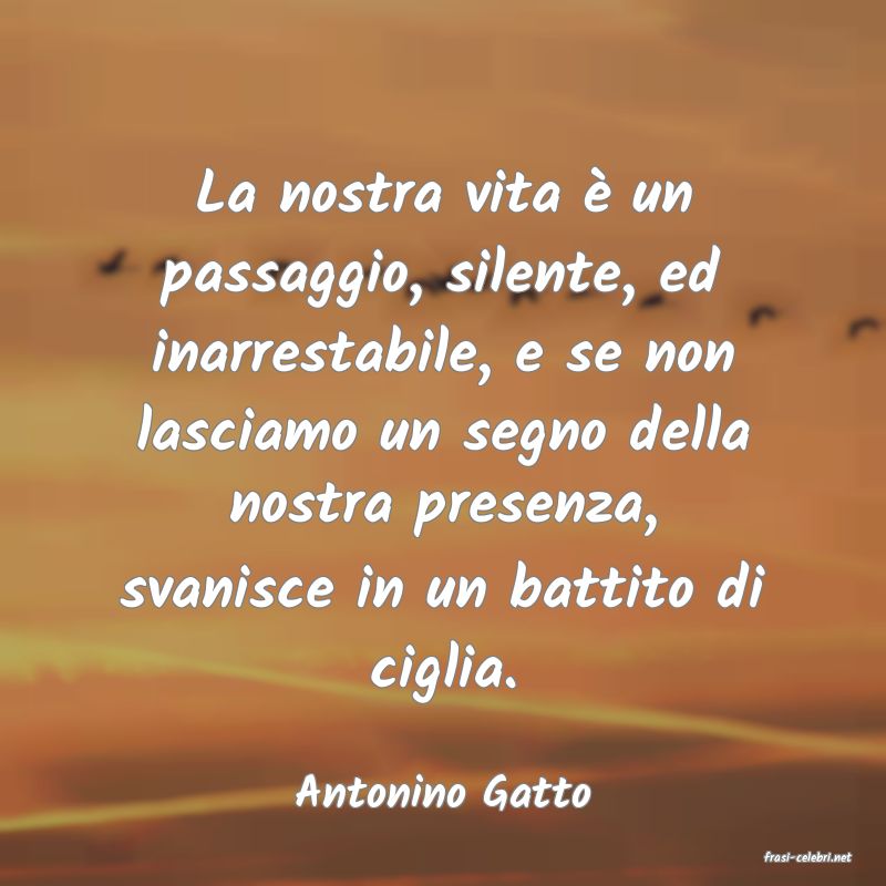 frasi di Antonino Gatto