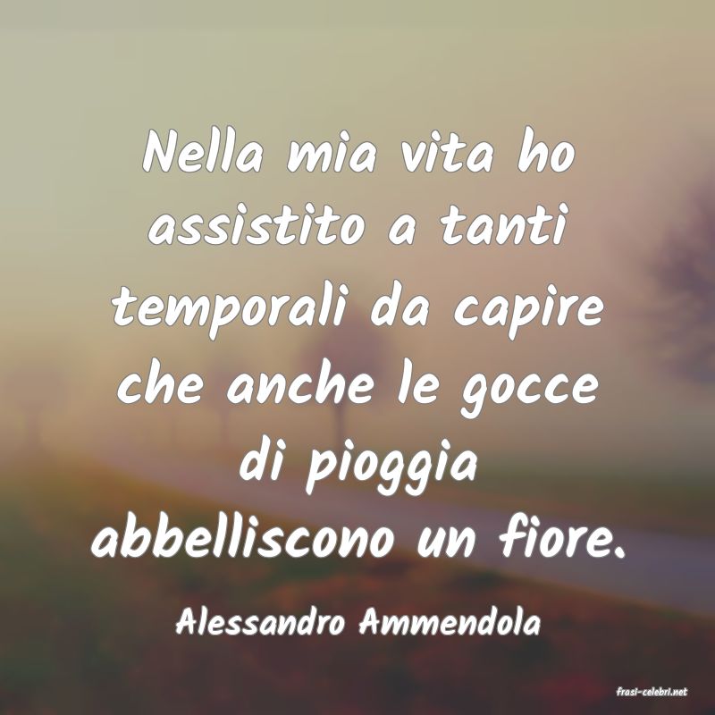 frasi di  Alessandro Ammendola
