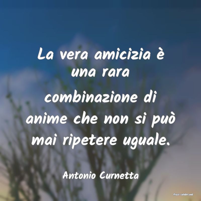 frasi di  Antonio Curnetta
