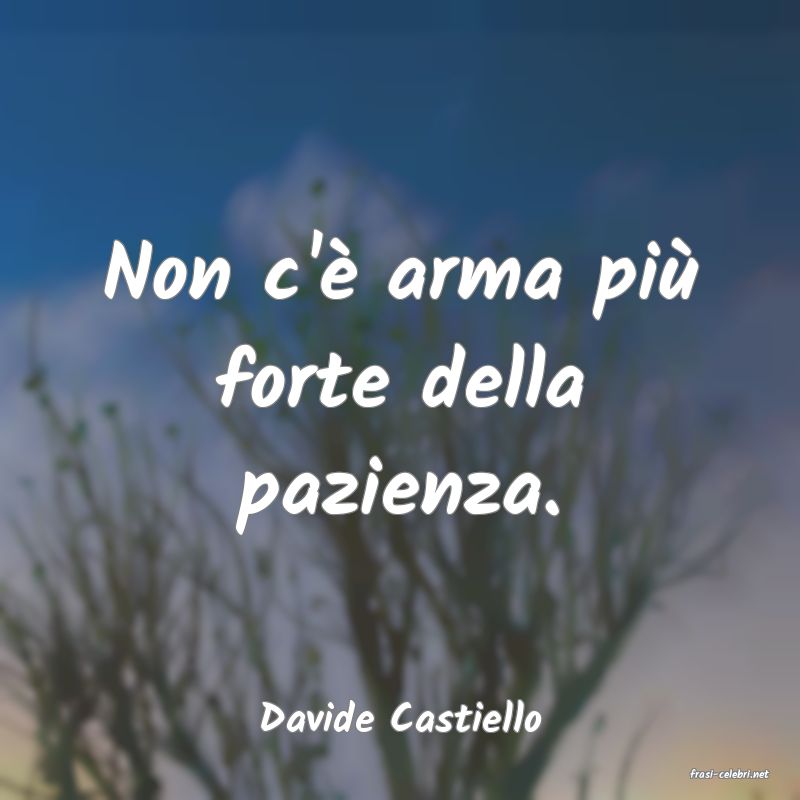 frasi di Davide Castiello