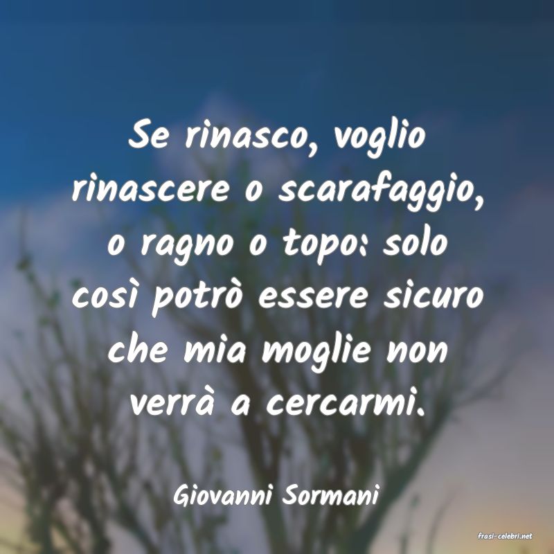 frasi di Giovanni Sormani