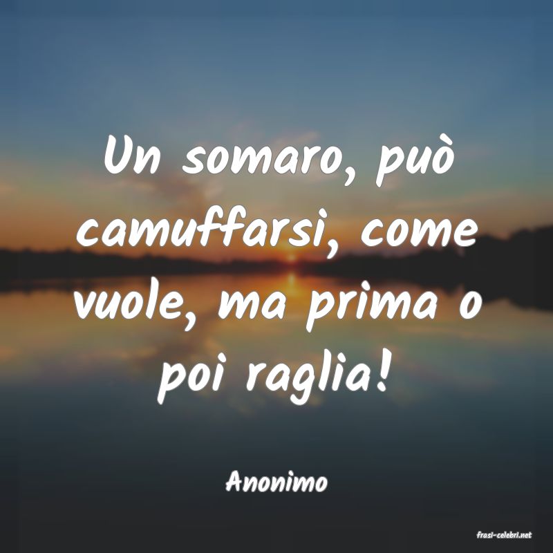 frasi di  Anonimo
