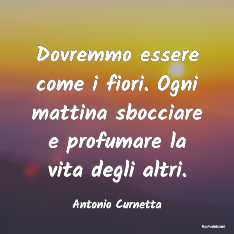 frasi di  Antonio Curnetta
