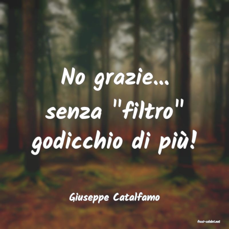 frasi di  Giuseppe Catalfamo

