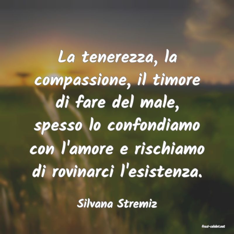 frasi di  Silvana Stremiz
