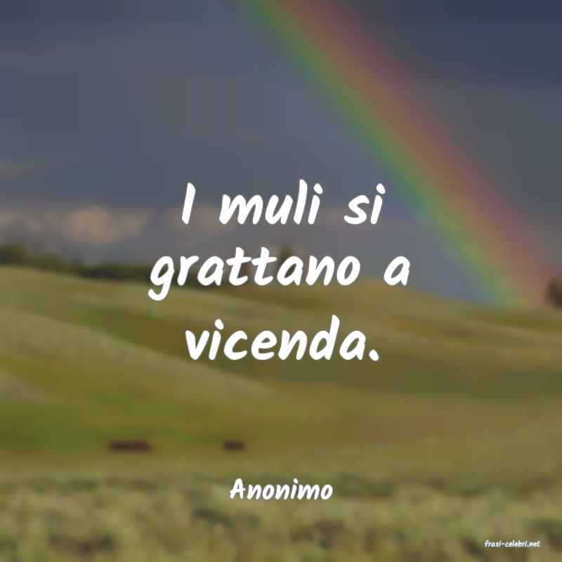 frasi di  Anonimo
