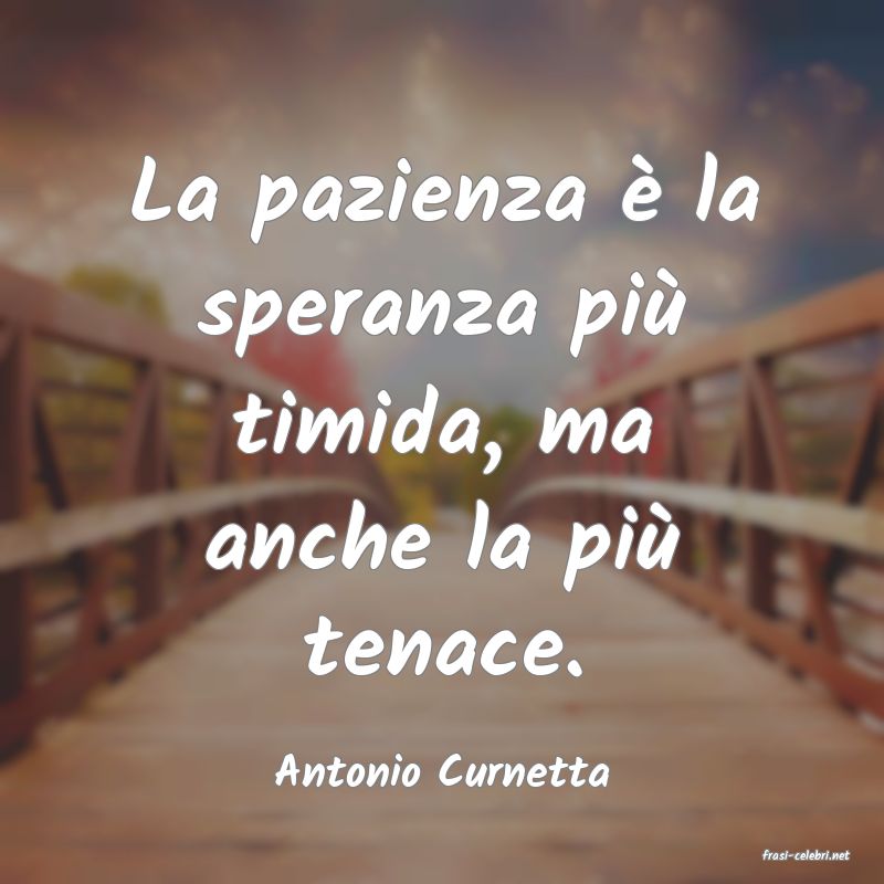 frasi di  Antonio Curnetta
