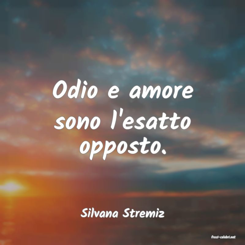 frasi di  Silvana Stremiz

