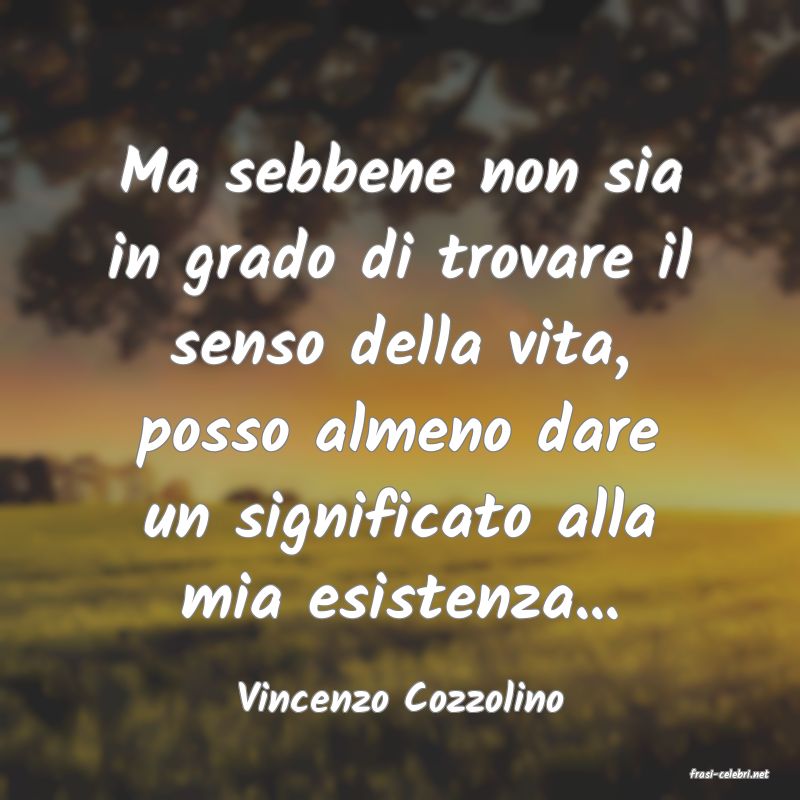 frasi di  Vincenzo Cozzolino
