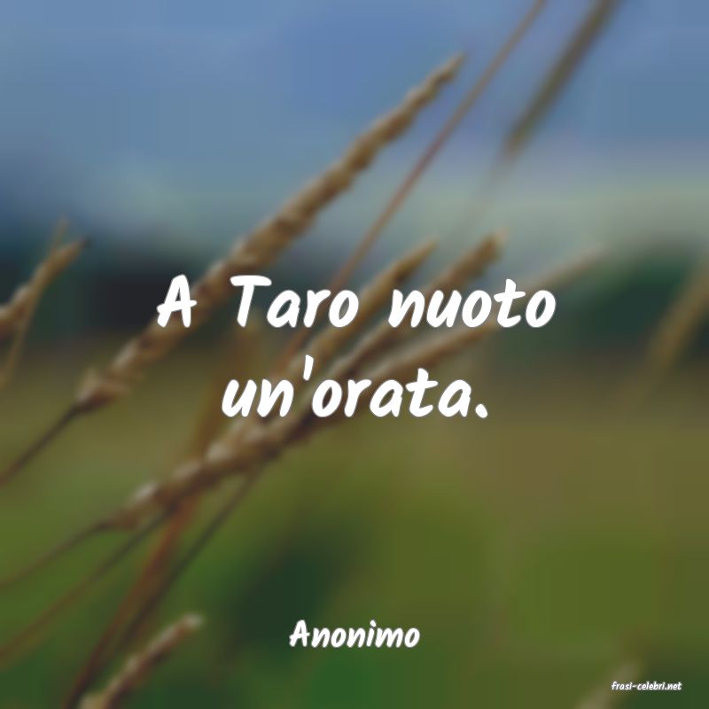 frasi di Anonimo