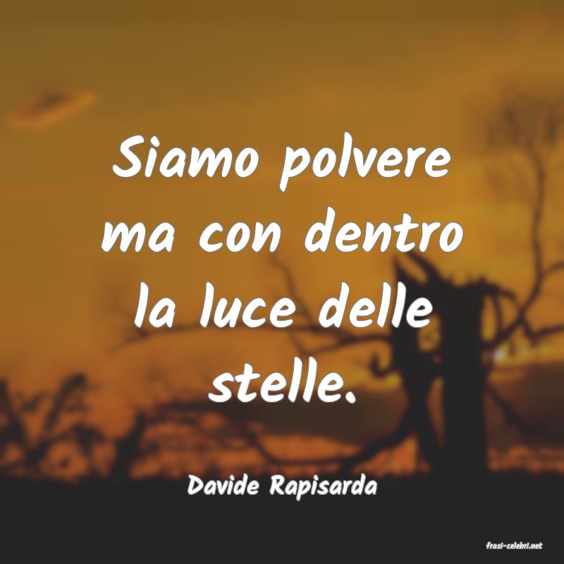 frasi di  Davide Rapisarda
