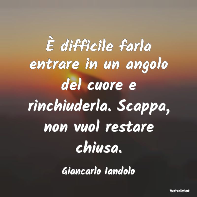 frasi di  Giancarlo Iandolo
