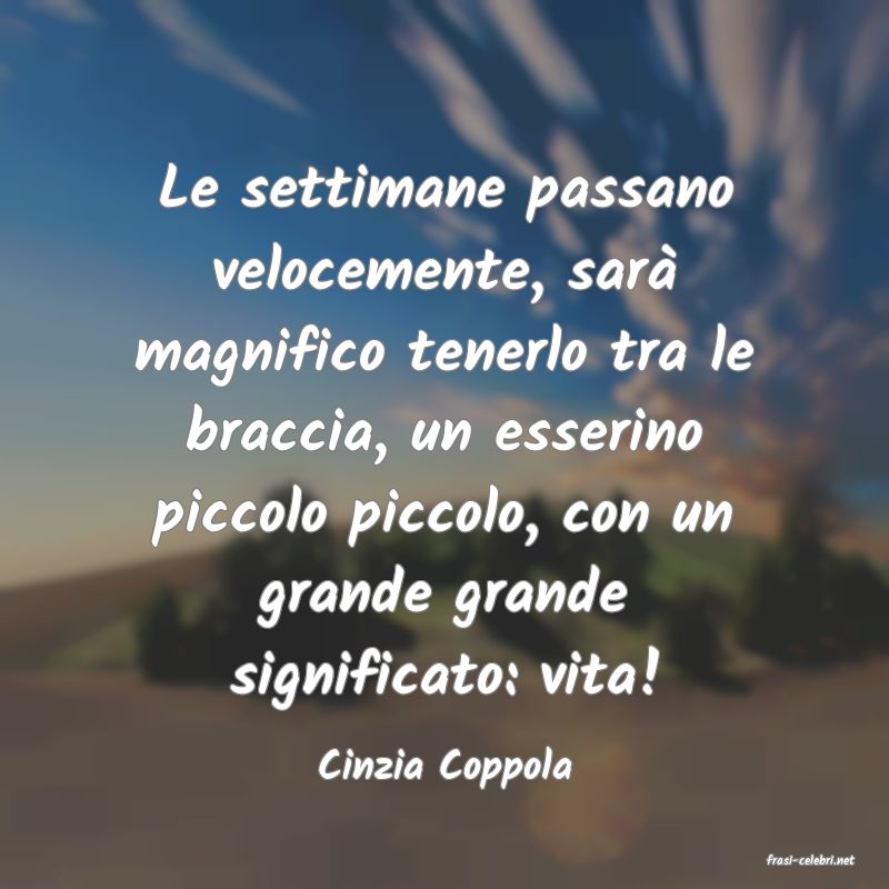 frasi di  Cinzia Coppola
