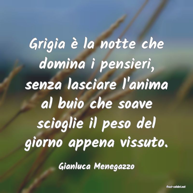 frasi di  Gianluca Menegazzo

