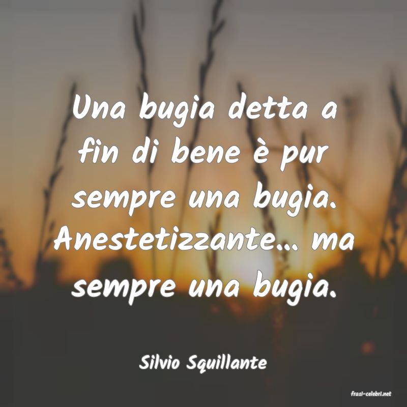frasi di Silvio Squillante