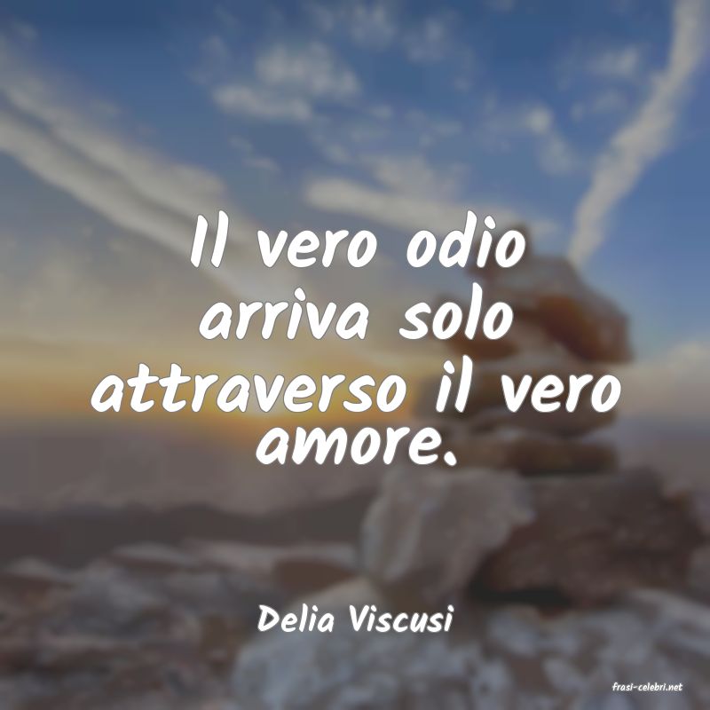frasi di  Delia Viscusi
