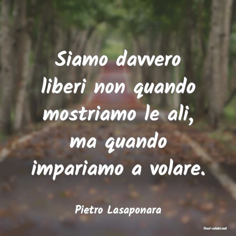 frasi di Pietro Lasaponara