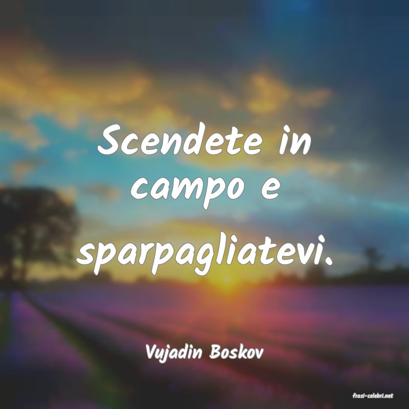 frasi di  Vujadin Boskov
