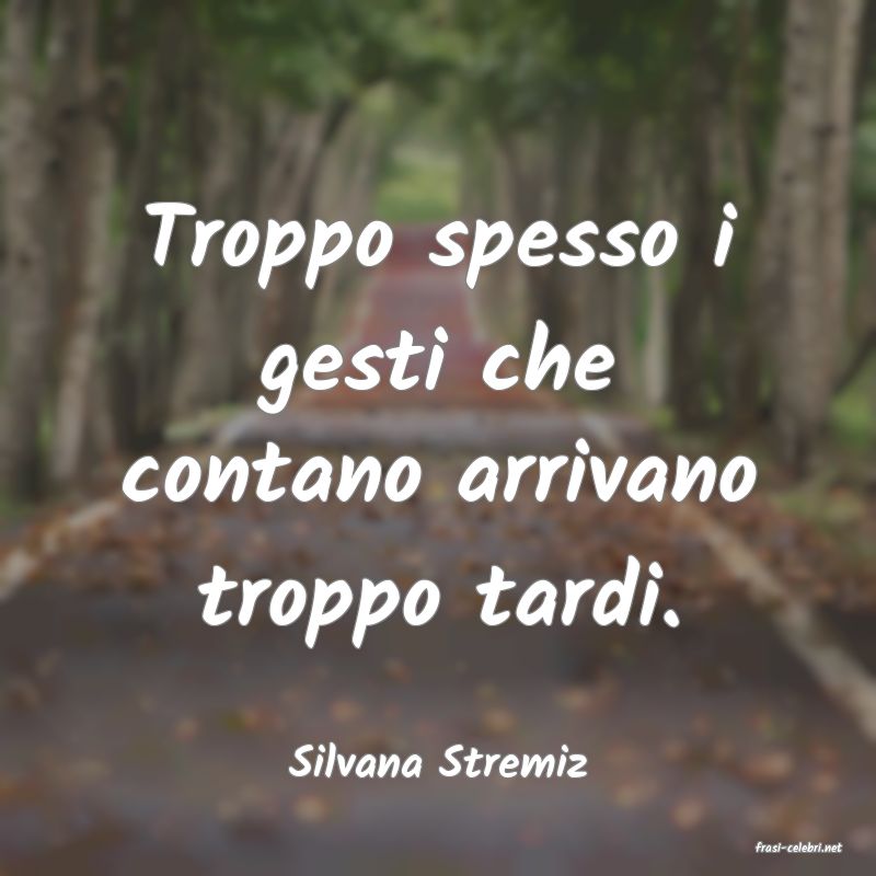 frasi di  Silvana Stremiz
