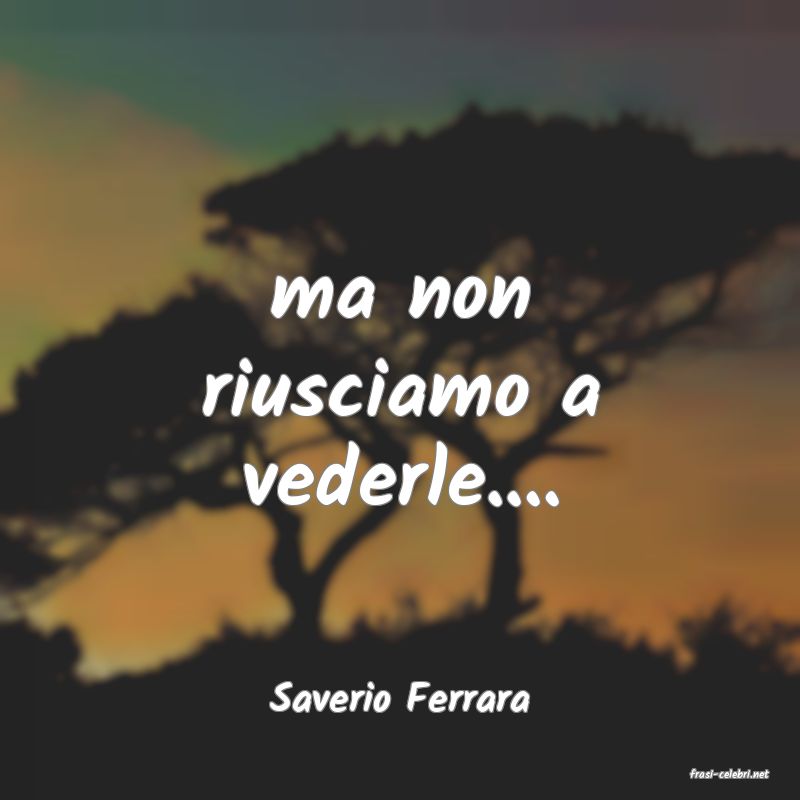 frasi di  Saverio Ferrara
