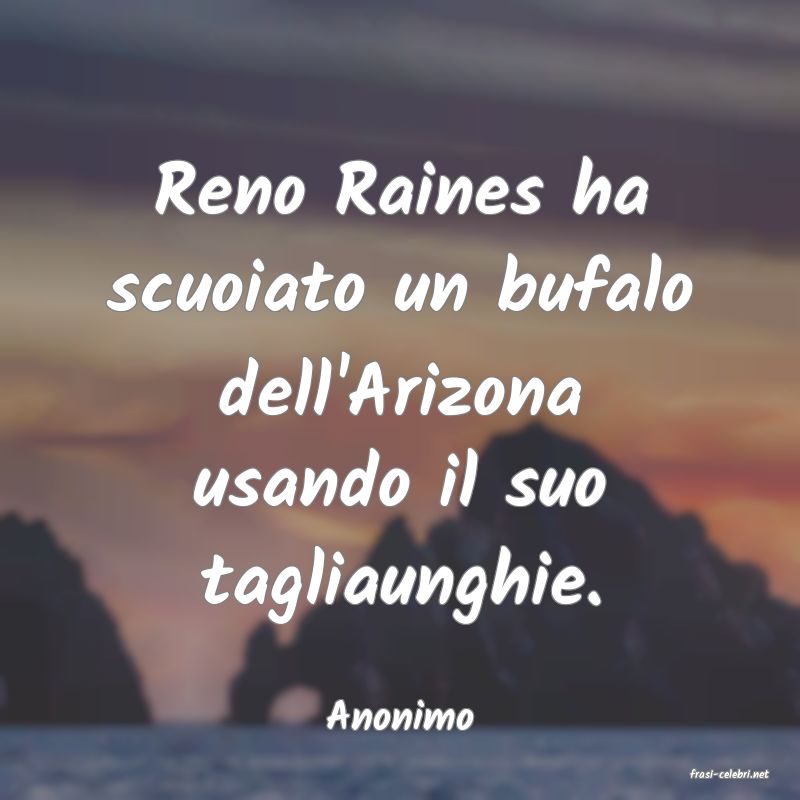 frasi di Anonimo