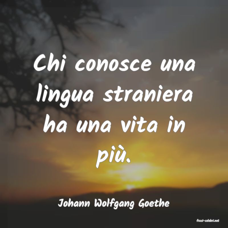 frasi di Johann Wolfgang Goethe