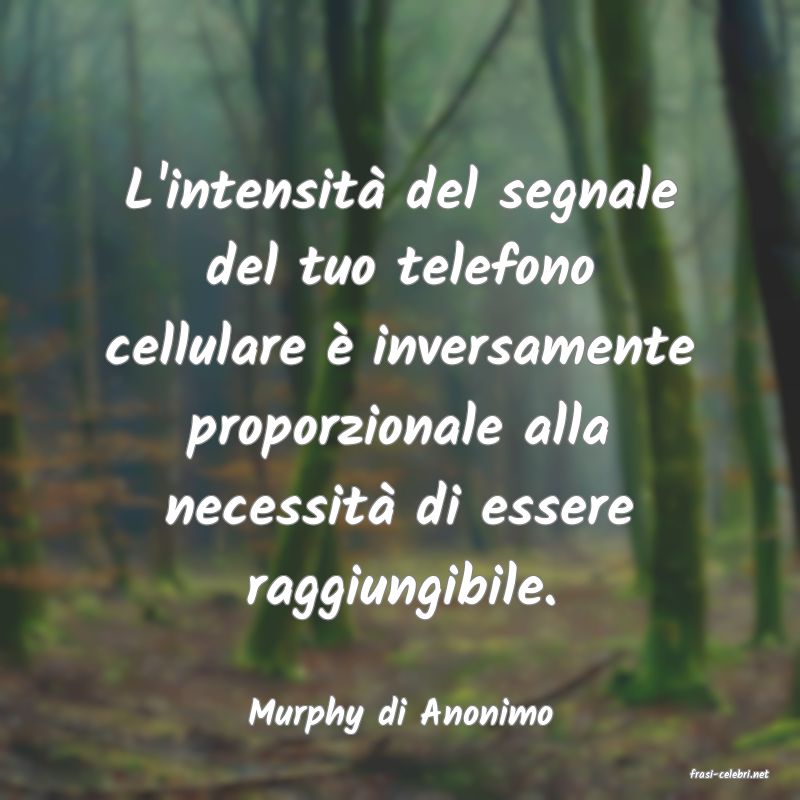 frasi di Murphy di Anonimo