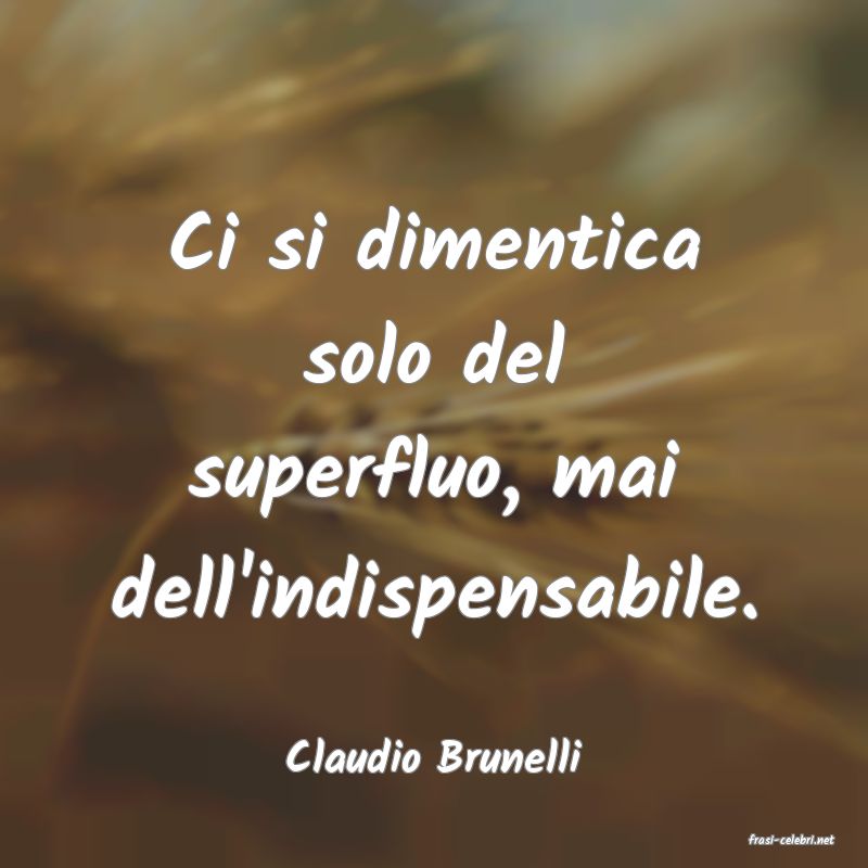 frasi di  Claudio Brunelli
