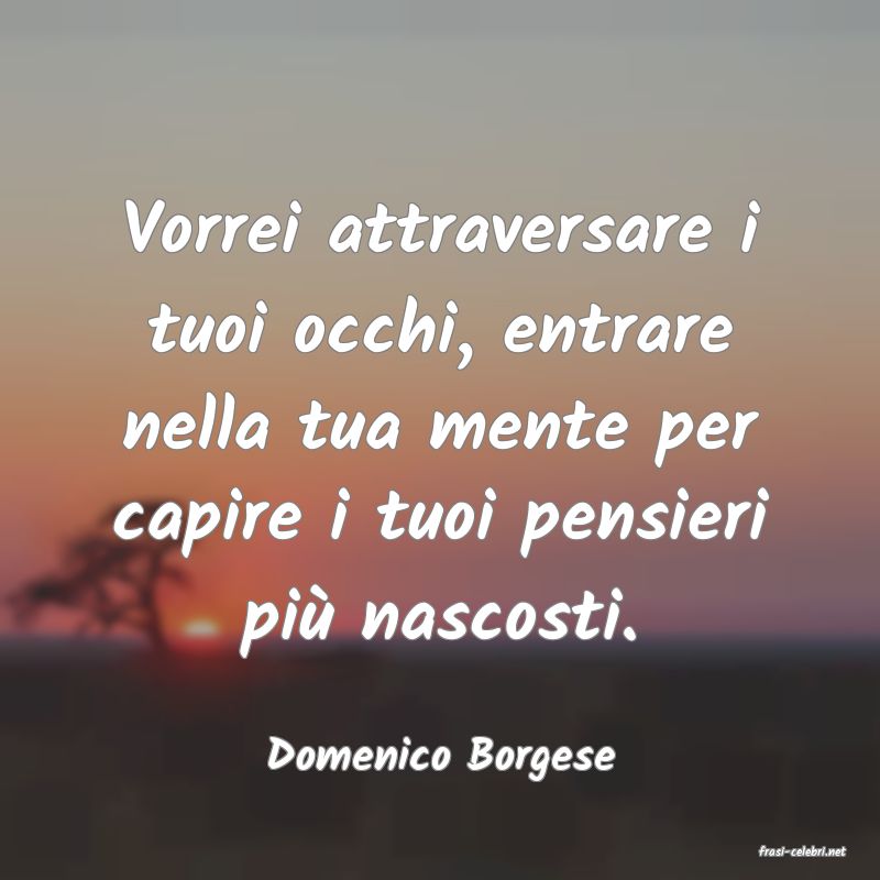 frasi di  Domenico Borgese
