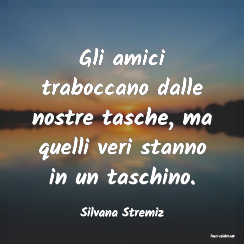 frasi di  Silvana Stremiz
